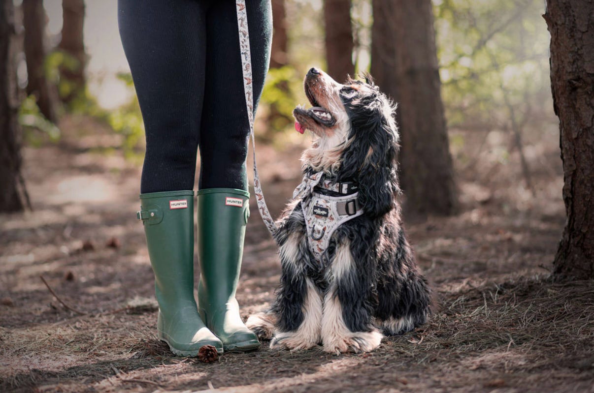 Fabric Dog Lead - Cotswold Cottage