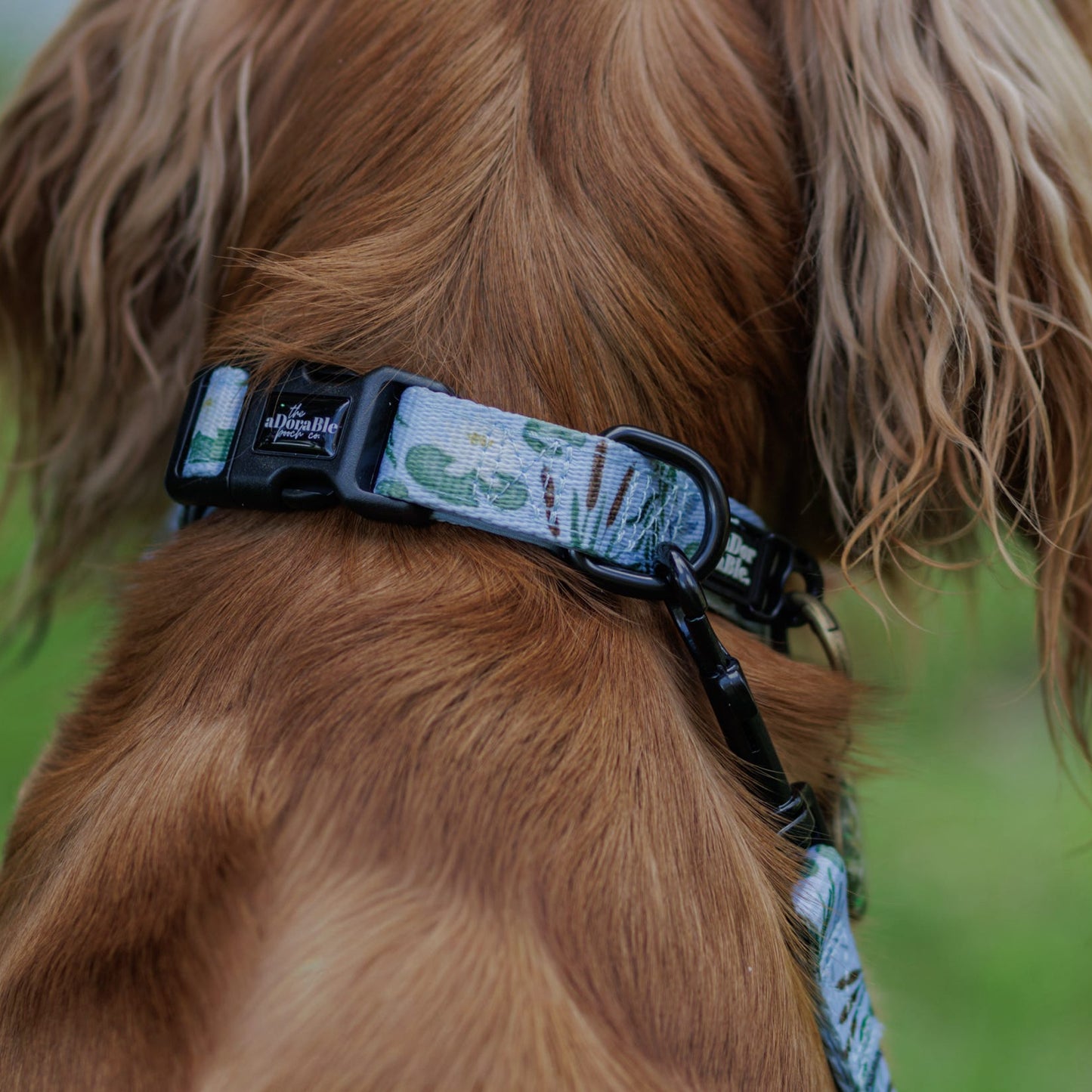 Dog Collar - Willow Waters