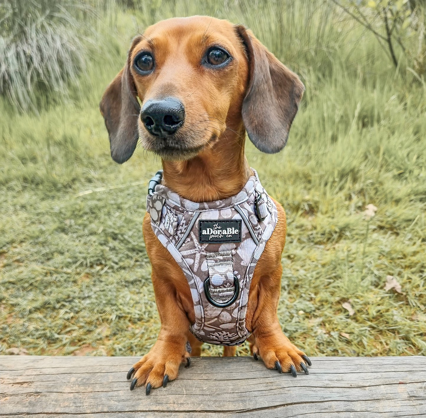 Hike & Go Lite™ Harness - Pebble Bay