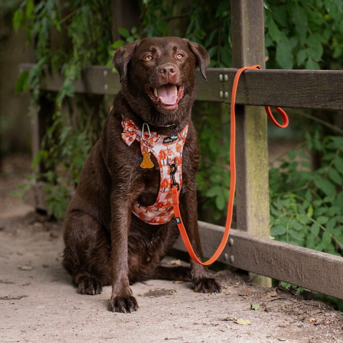 HydroFlex™ Two-tone Waterproof Dog Lead - Burnt Orange