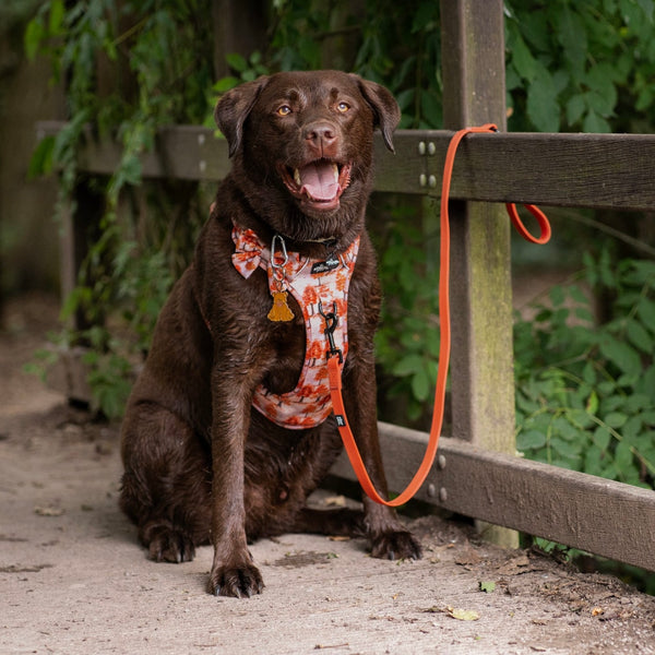 HydroFlex™ Two-tone Waterproof Lead - Burnt Orange