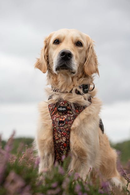 Hike & Go™ Harness - Foragers Forest