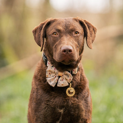 Dog Sailor Bow Tie - Spring Garden