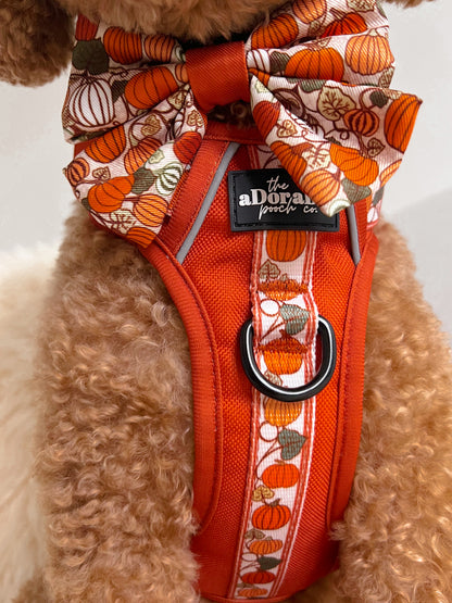 Hike & Go™ Harness - Pumpkin Fields