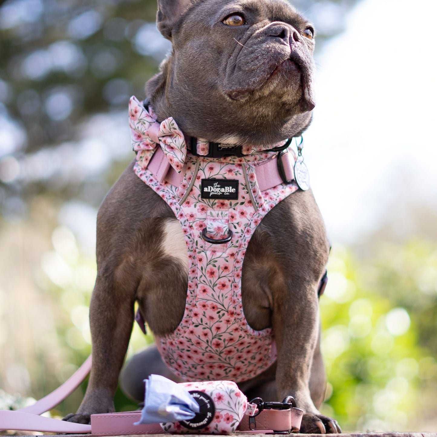Dog wearing a floral harness and bow tie on a wooden log with a blurred natural background