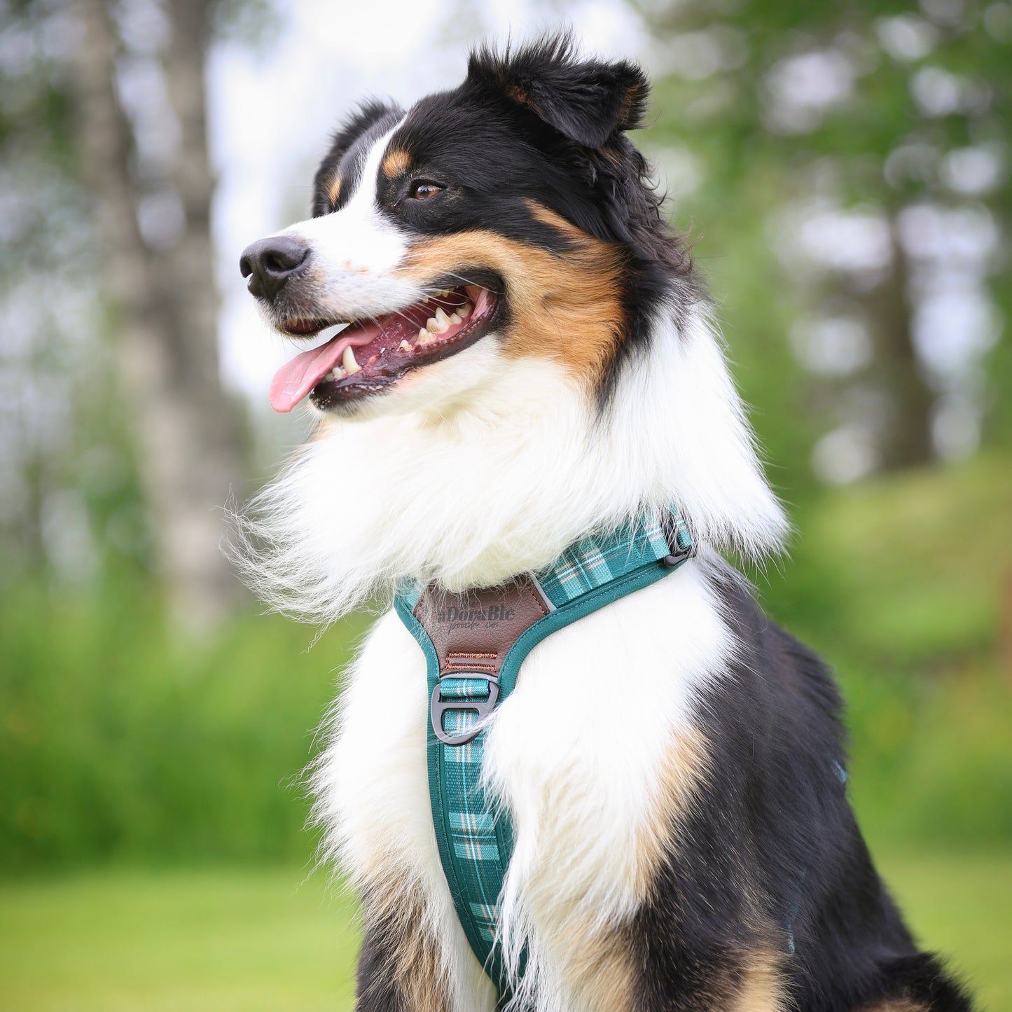 Streamline Pro™ Dog Harness - Heritage Collection - Pheasant Green