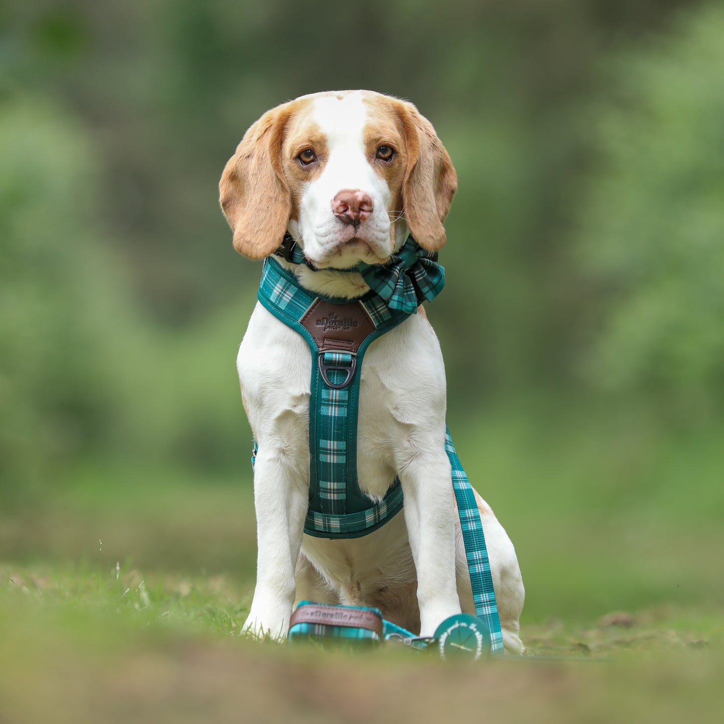 Streamline Pro™ Dog Harness - Heritage Collection - Pheasant Green