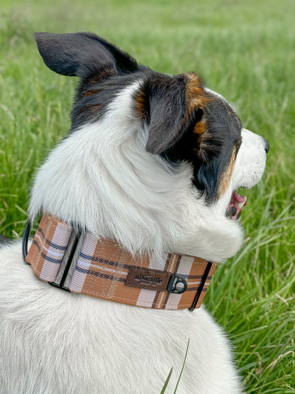 Heritage Martingale Collar - Butterscotch Biscuit