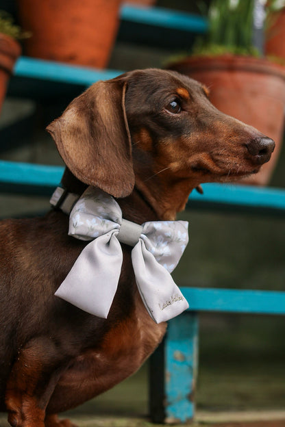Dachshund wearing a decorative sailor bow tie with blurred background