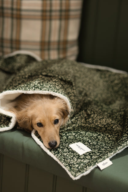 Laura Ashley Dog & Puppy Bed Blanket - Sweet Alyssum