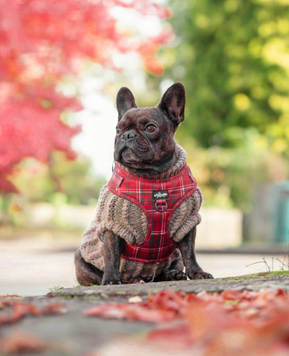 Adjustable Harness - LUXE Berry Red Plaid