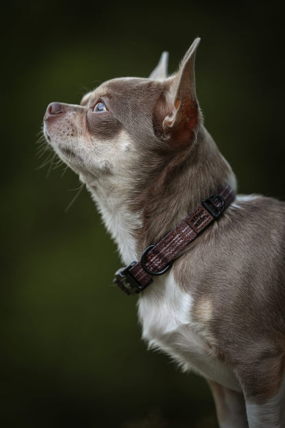 Heritage Collar - Truffle Brown