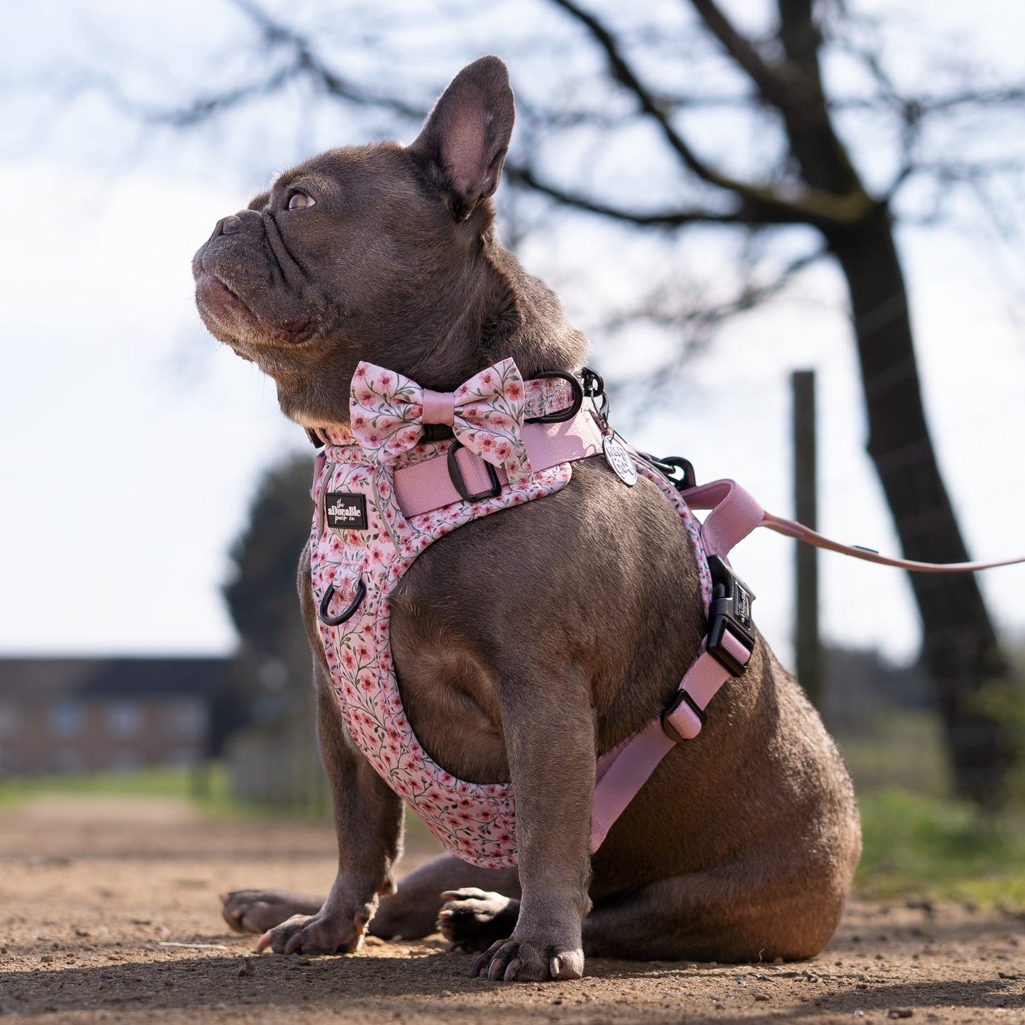Dog Dickie Bow Tie - Blushing Blossoms