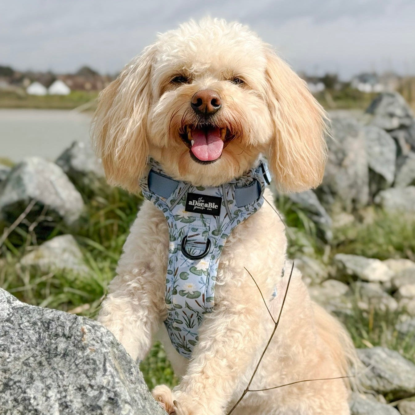 Hike & Go Lite™ Harness - Willow Waters