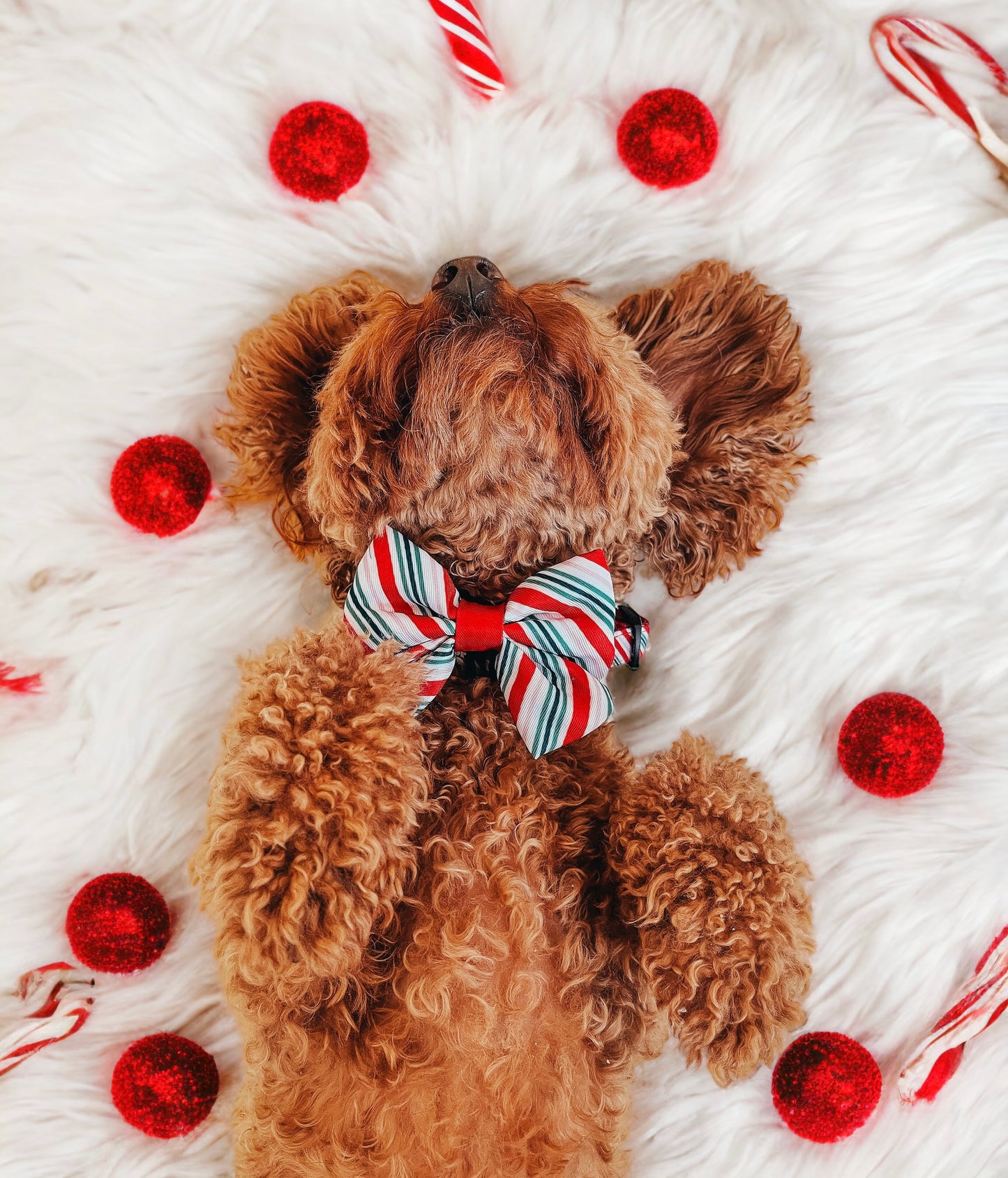 Sailor Bow Tie - Candy Cane Swirl