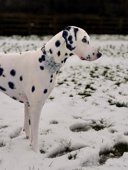 Dog Sailor Bow Tie - Silent Snowdrops