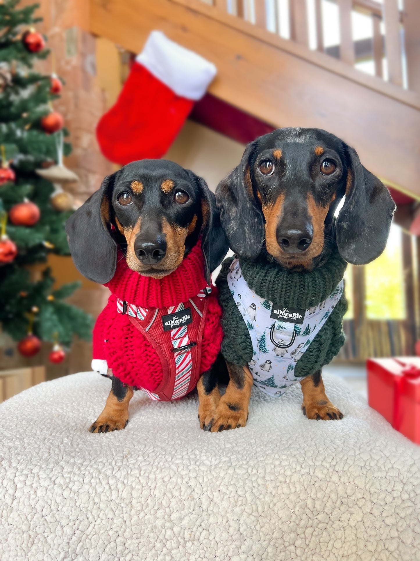 Hand Knitted Dachshund Jumper - Berry Red