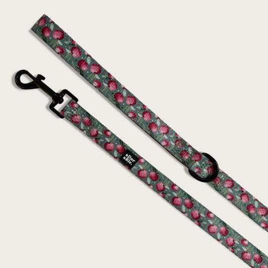 Lead - Crab Apple Cottage