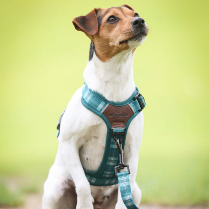 Streamline Pro™ Dog Harness - Heritage Collection - Pheasant Green