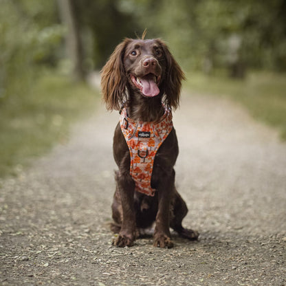 Hike & Go Lite™ Harness - Autumn Orchard