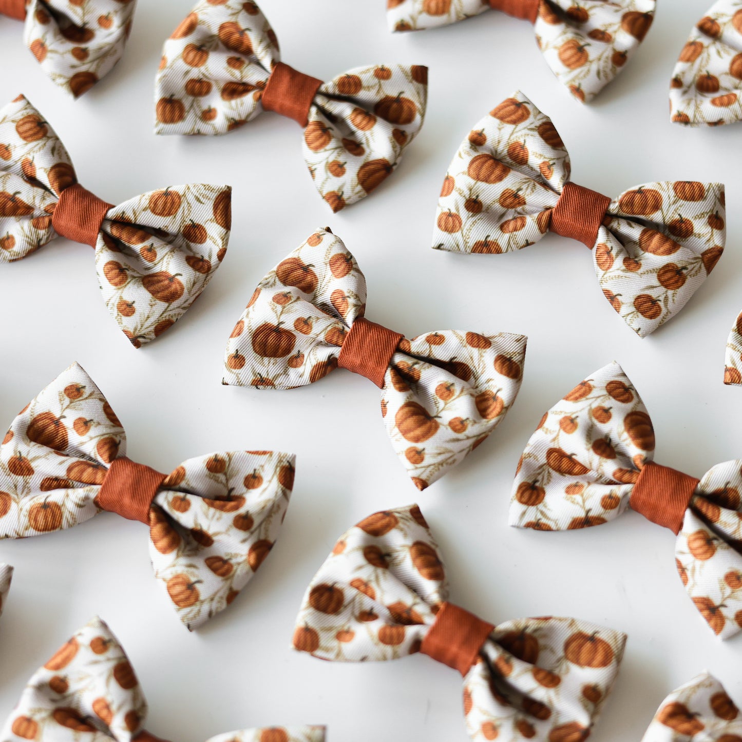 Bow Tie - Pumpkin Farm