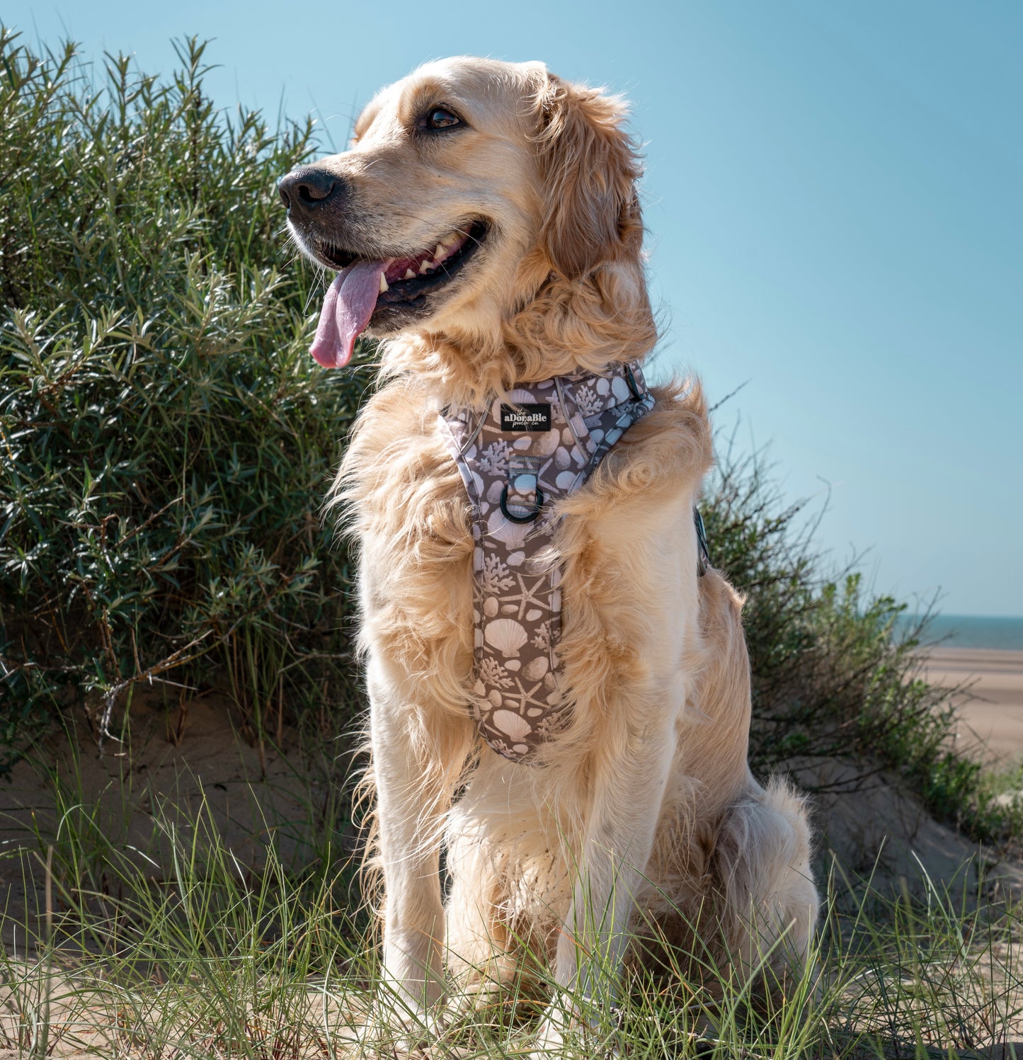 Hike & Go Lite™ Harness - Pebble Bay