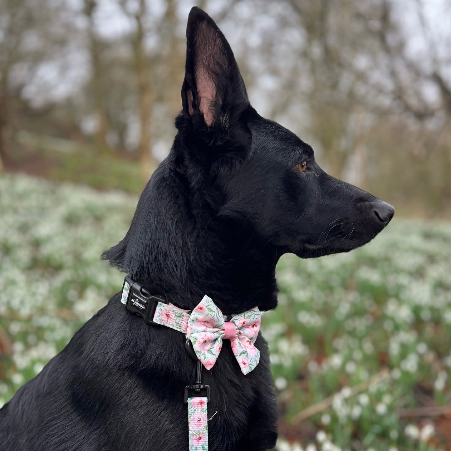 Sailor Bow Tie - Peony Petals