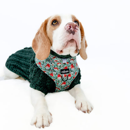 Hand Knitted Dachshund Jumper - Spruce Green