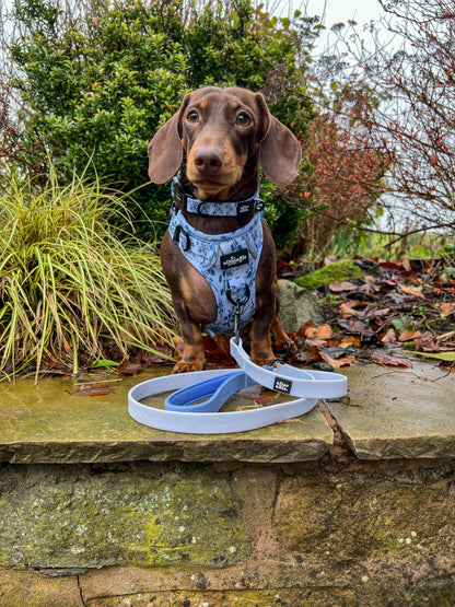 HydroFlex™ Two-tone Waterproof Dog Lead - Ice Blue