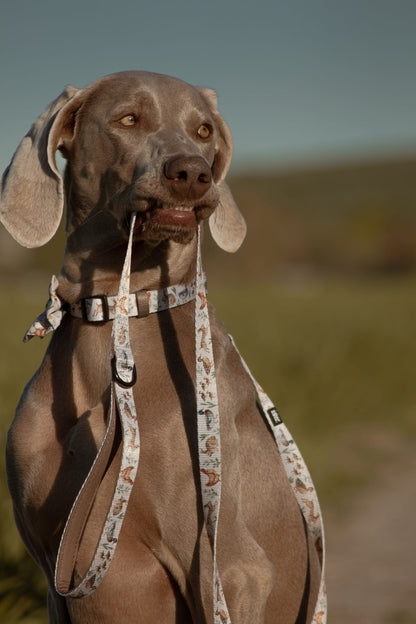 Fabric Dog Lead - Cotswold Cottage
