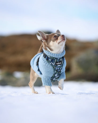 Hike & Go Lite™ Harness - Twelve Days