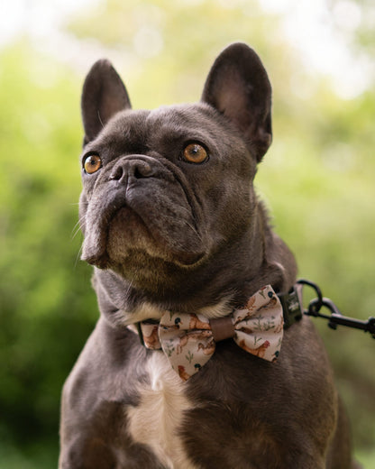 Dog Dickie Bow Tie - Cotswold Cottage