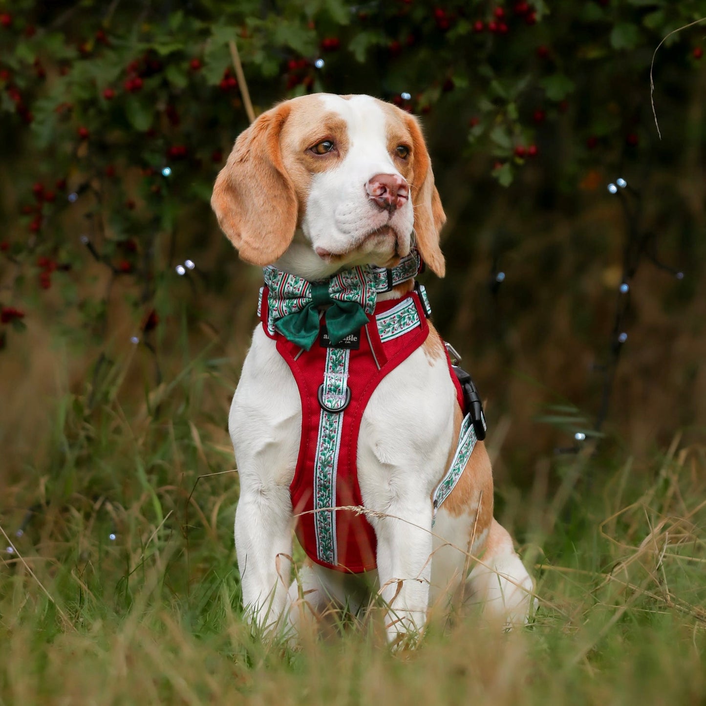 Hike & Go™ Harness - Garlands Of Evergreen