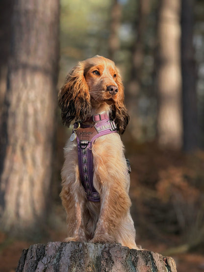 Streamline Pro™ Dog Harness - Moonlit Pines