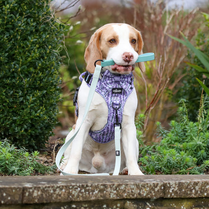 HydroFlex™ Two-tone Waterproof Dog Lead - Frosted Mint