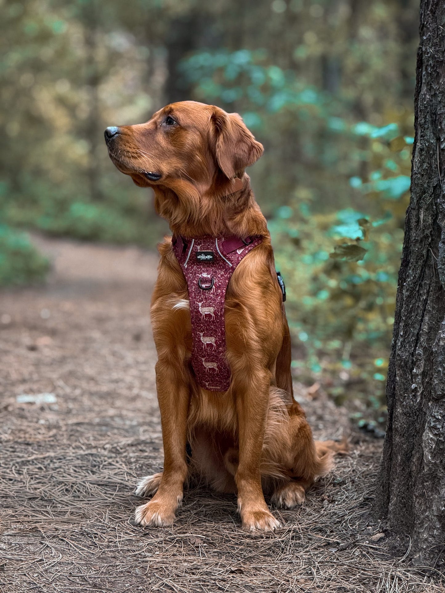 Hike & Go Lite™ Harness - Winter Fawn