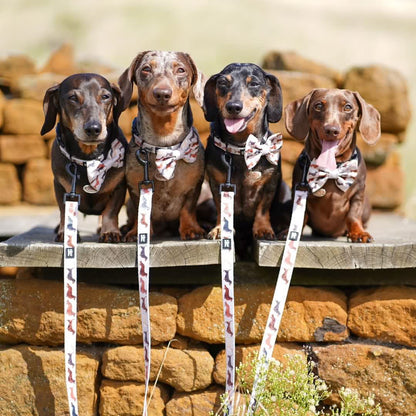 Bow Tie - Watercolour Weenies