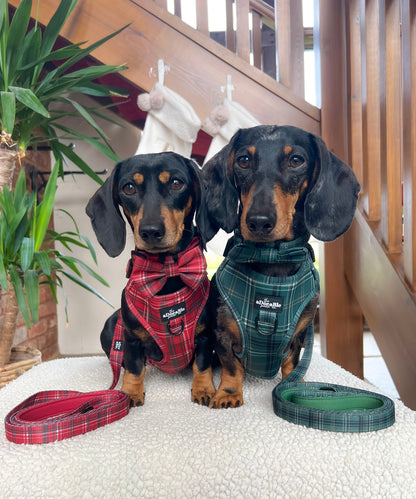 Bow Tie - LUXE Berry Red Plaid