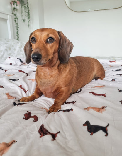 Supersize Soft Blanket - Watercolour Dachshunds