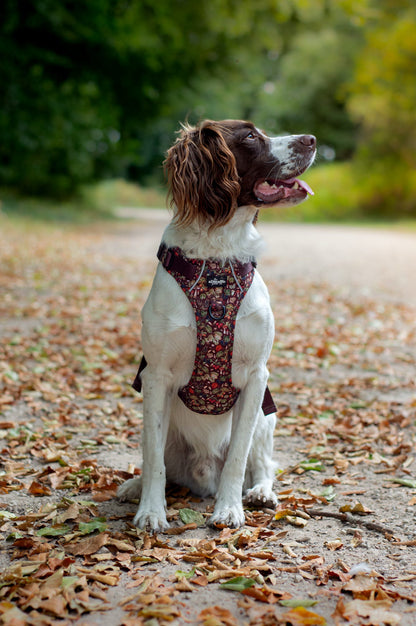 Hike & Go™ Harness - Foragers Forest