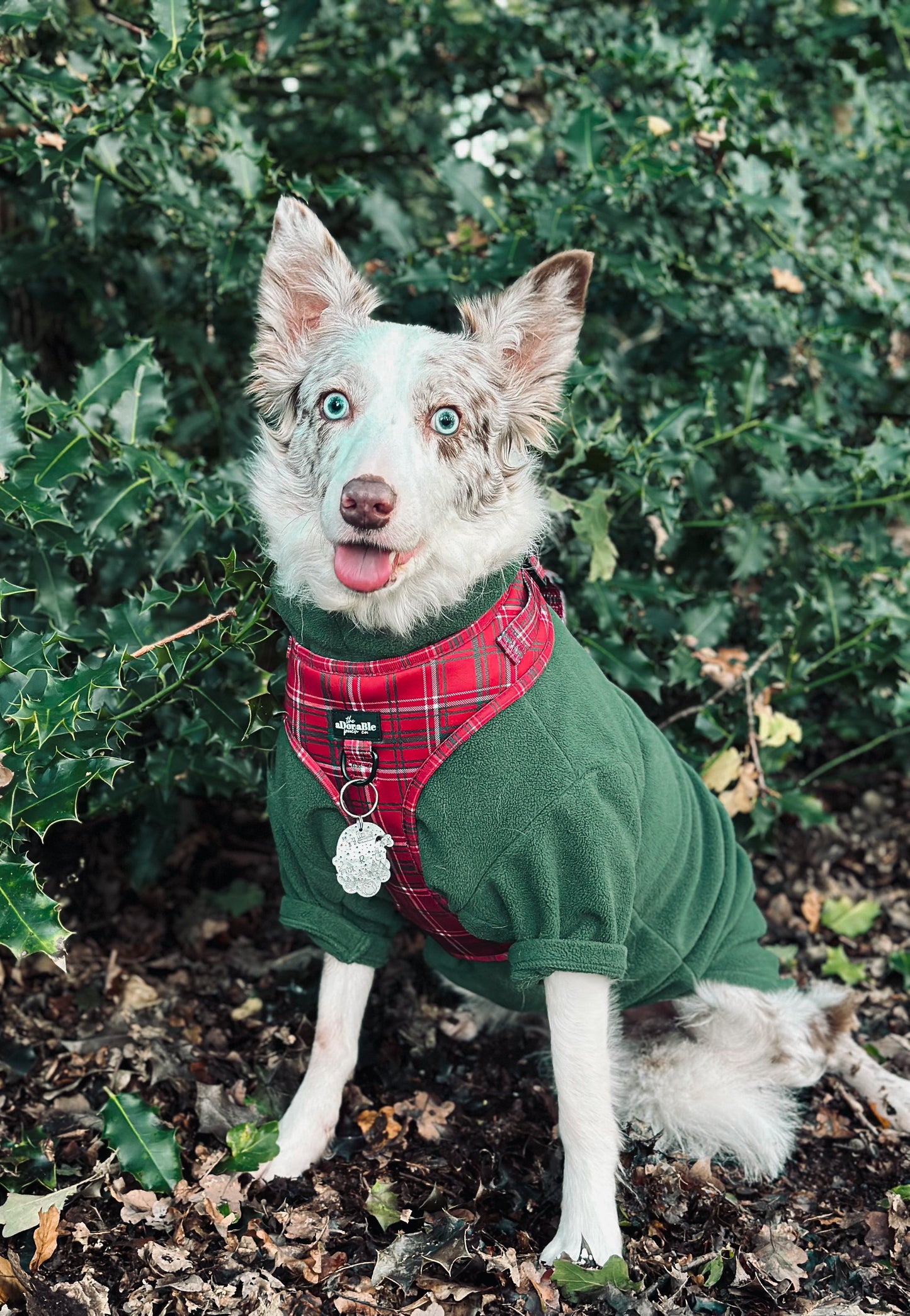 Adjustable Harness - LUXE Berry Red Plaid