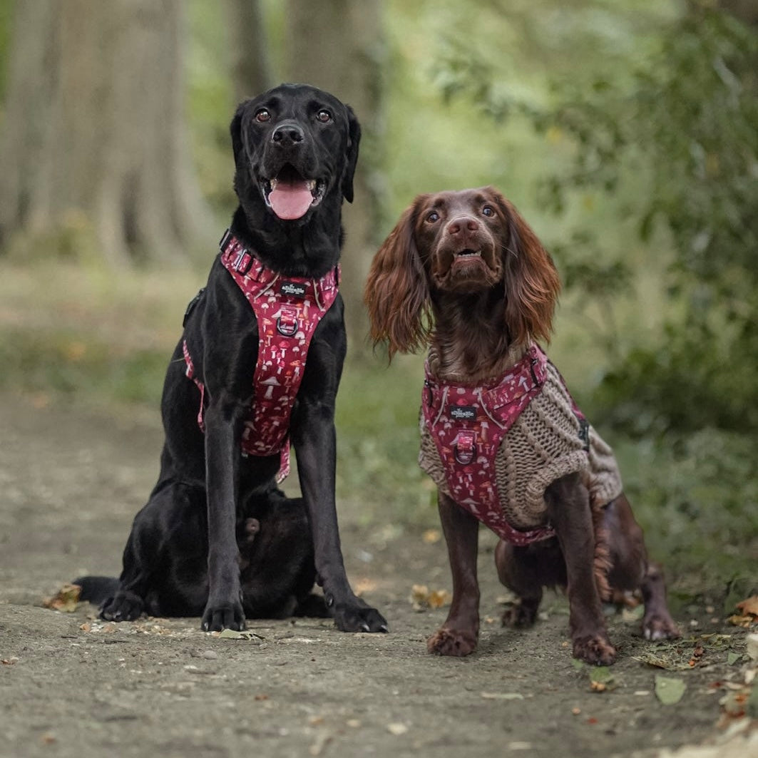 Hike & Go Lite™ Harness - Mulberry Mushrooms