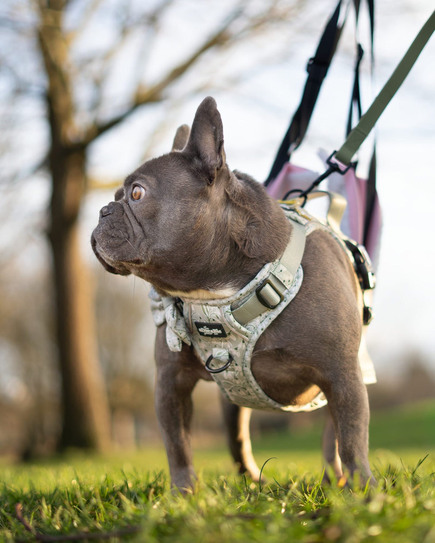 Hike & Go Lite™ Harness - Silent Snowdrops