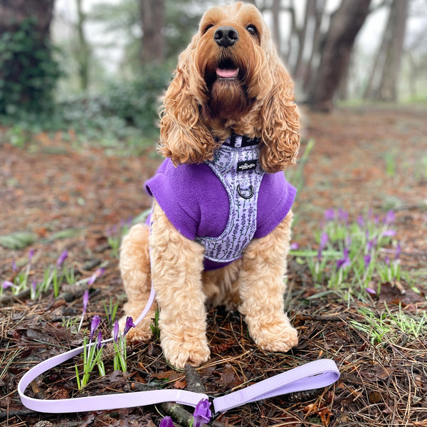 Hike & Go Lite™ Harness - Lavender Haze