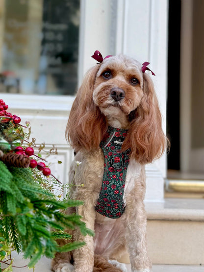 Hike & Go Lite™ Harness - Holly & Ivy