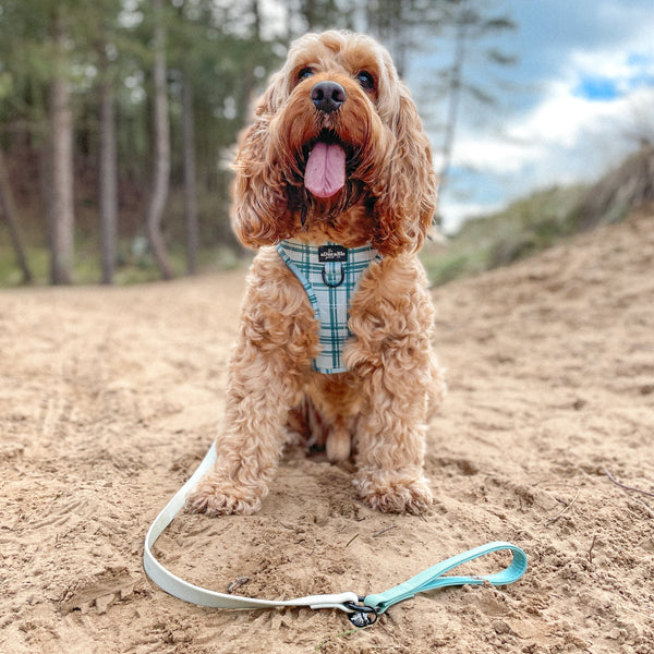 Adjustable Harness - LUXE Frosted Mint Plaid