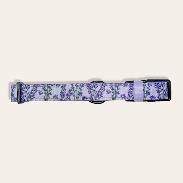 Collar - Lavender Haze