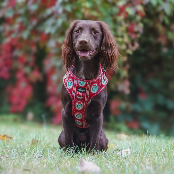 Adjustable Harness - Christmas Traditions