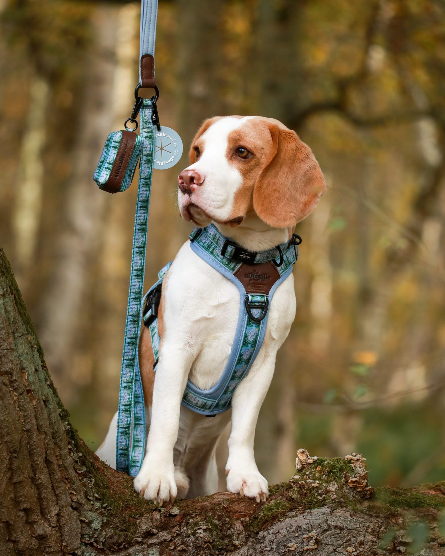 Lead - Daydream Heights