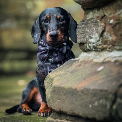 Sailor Bow Tie - LUXE Noir Plaid